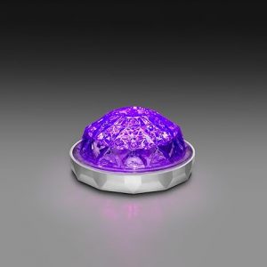 Jewel Low Profile Watermelon Switch Light Purple LEDs and White LEDs