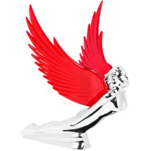 Flying Goddess Wind Rider Wing Series