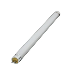 Fluorescent Light