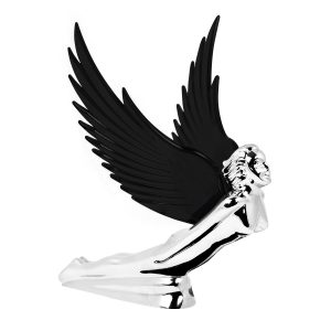 Flying Goddess Wind Rider Wing Series